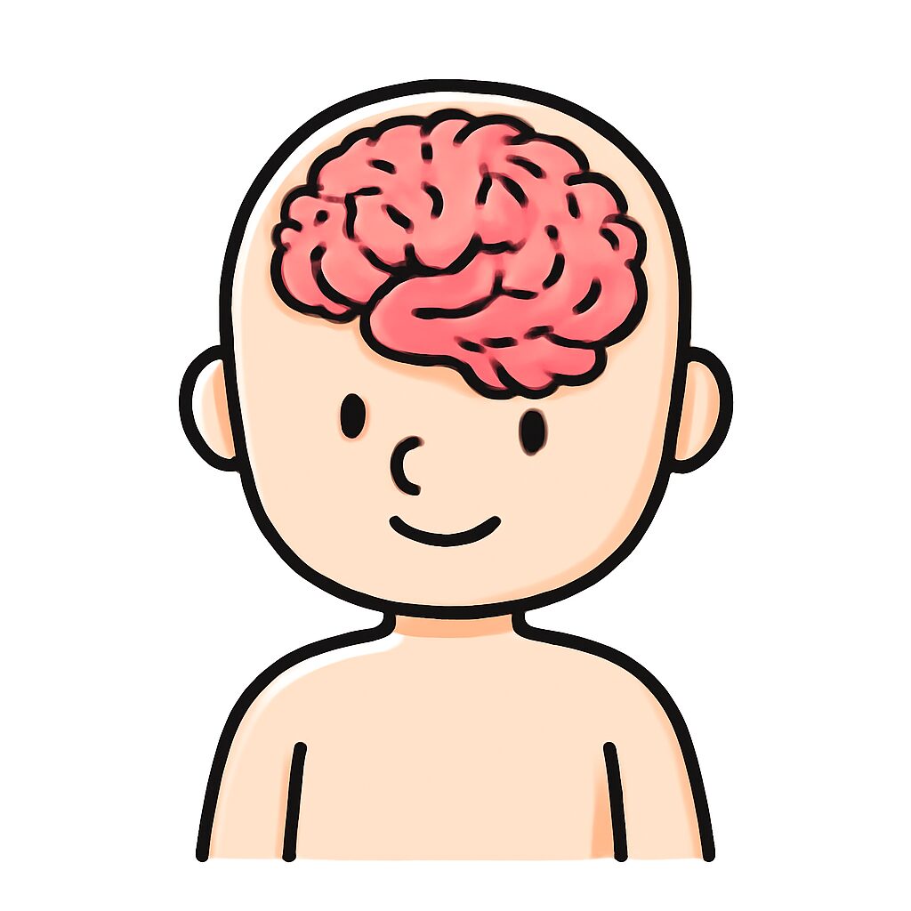 Brain