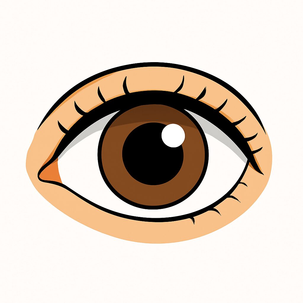 Eye