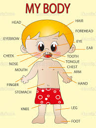 My Body
