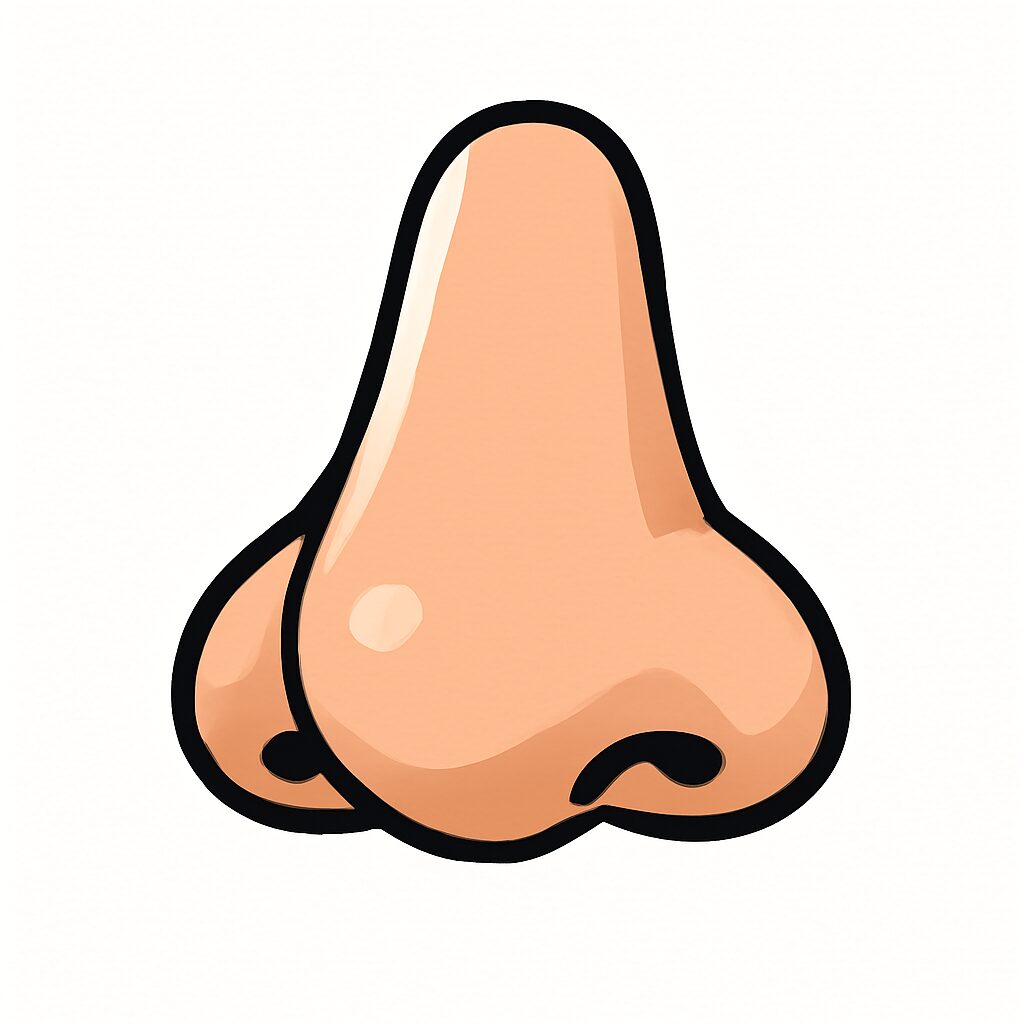 Nose