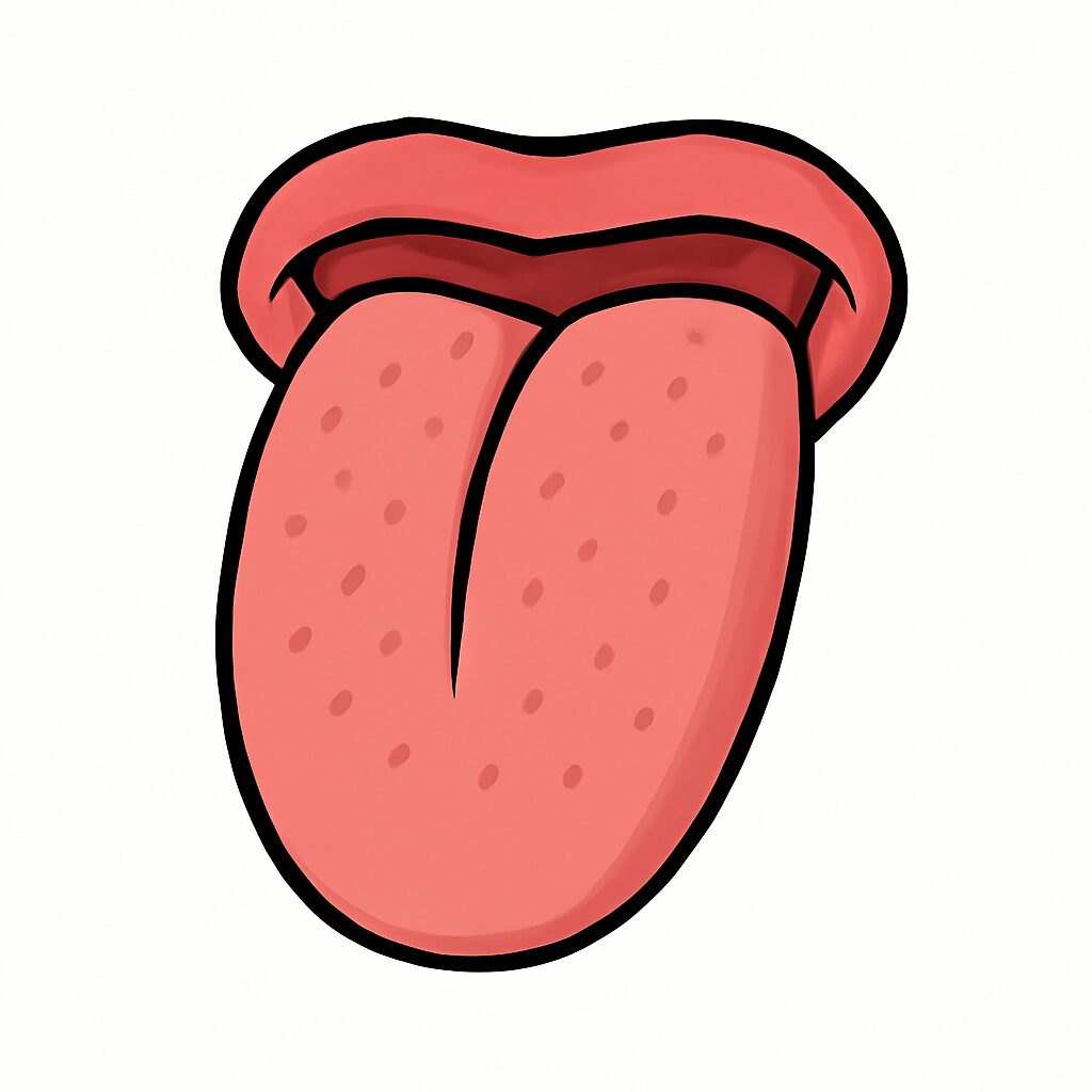 Tongue