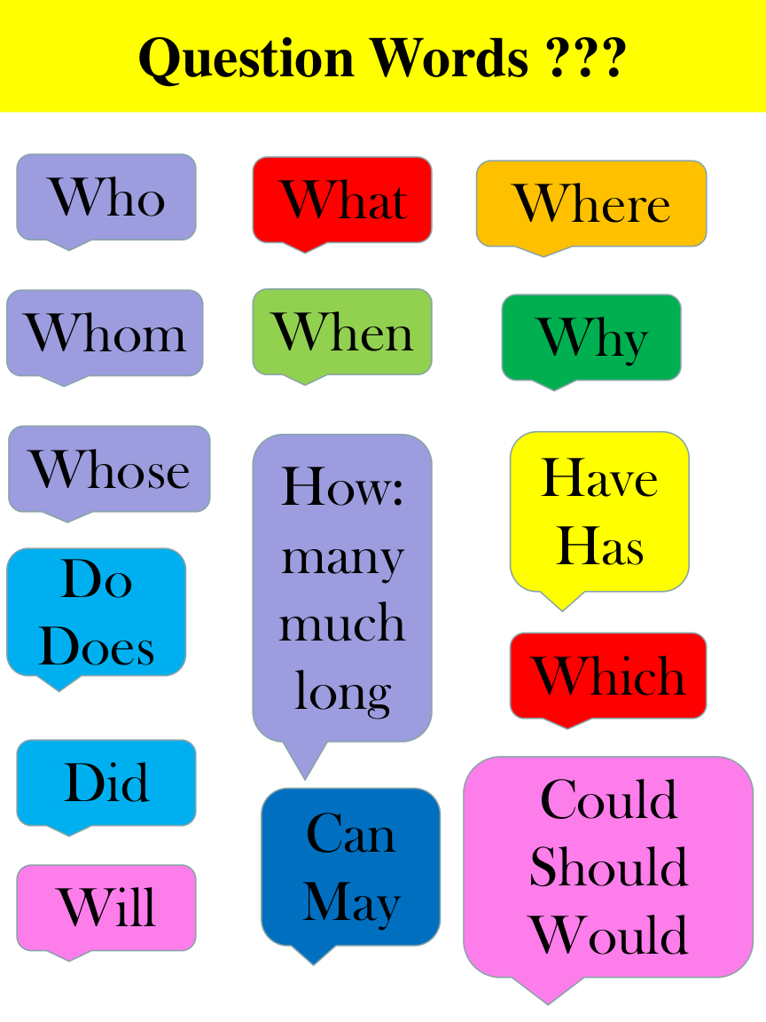 Question Words